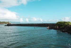Depuis Oahu : Tour de cinéma et aventure en hélicoptère à Kauai