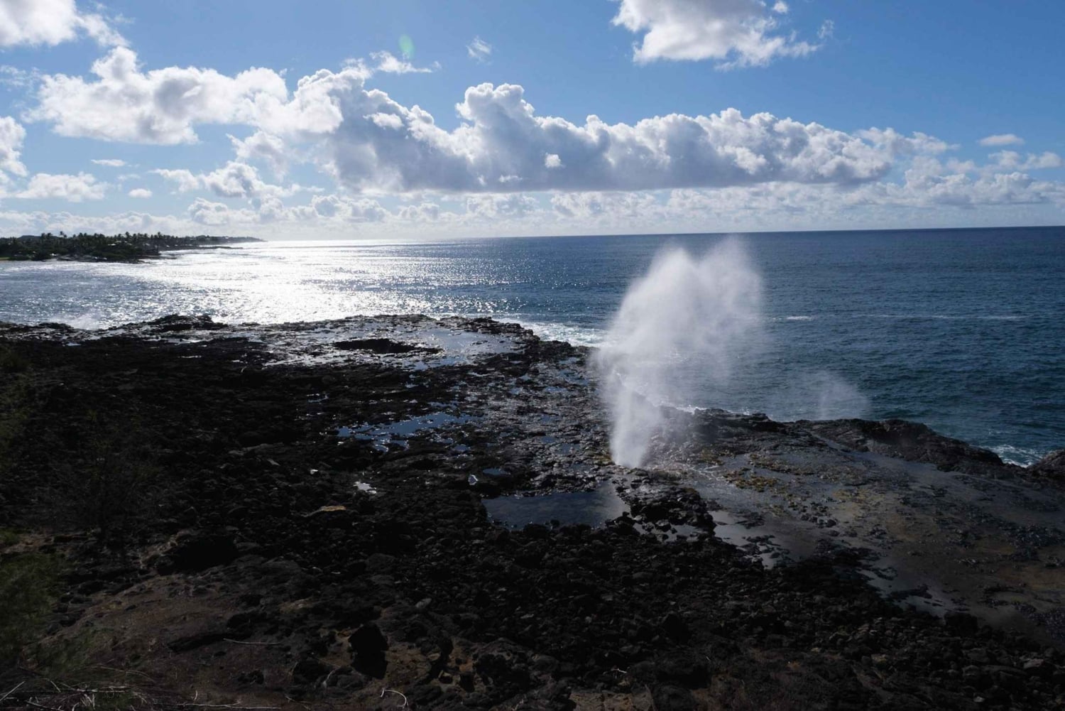 Fra Oahu: Kauai Waimea Canyon og Koke'e Adventure Tour