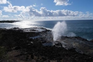Fra Oahu: Kauai Waimea Canyon og Koke'e Adventure Tour