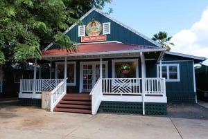 Fra Oahu: Kauai Waimea Canyon og Koke'e Adventure Tour