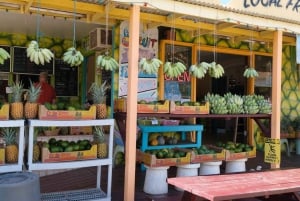 Fra Oahu: Kauai Waimea Canyon og Koke'e Adventure Tour