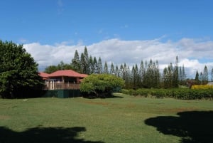 Fra Oahu: Kauai Waimea Canyon og Koke'e State Park Tour