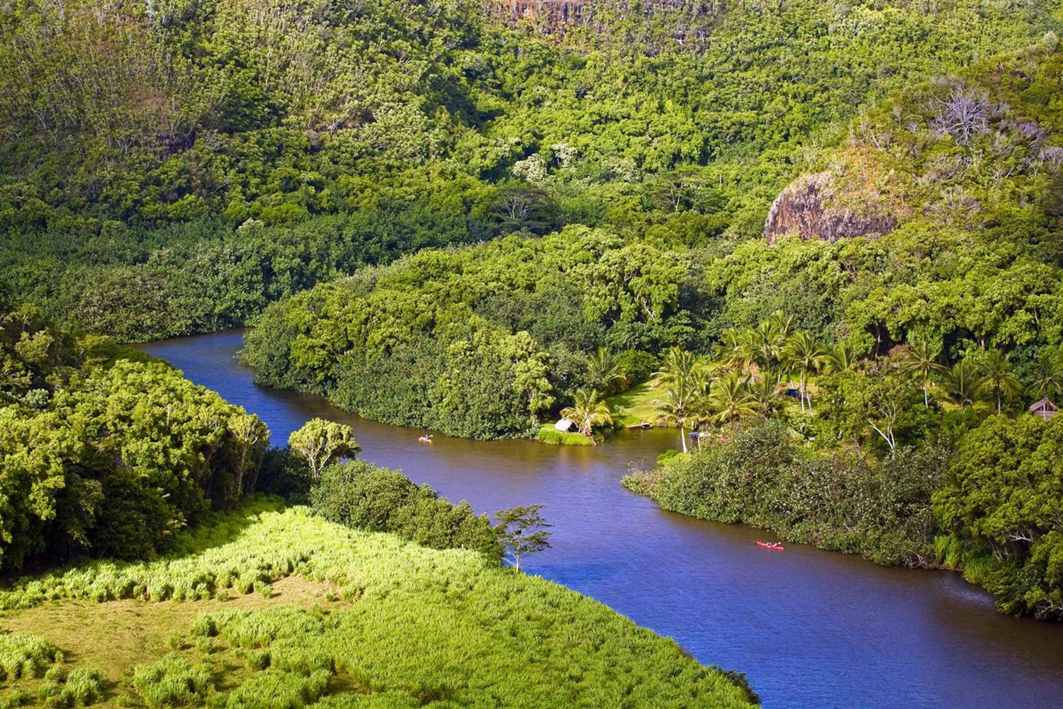 Van Oahu: Kauai Waimea Canyon & Wailua Rivier Tocht