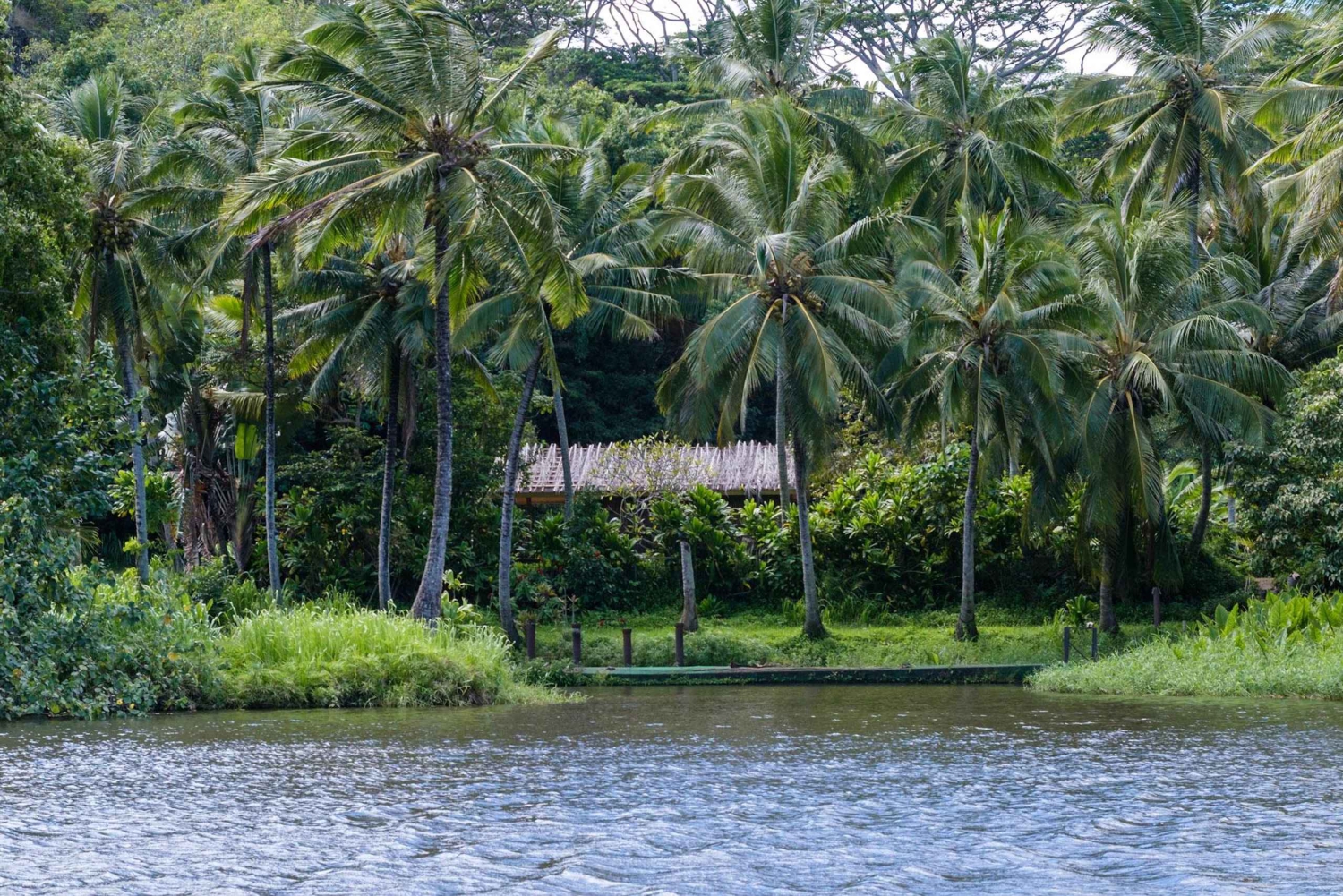 Van Oahu: Kauai Waimea Canyon & Wailua Rivier Tocht