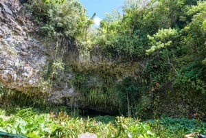 Z Oahu: Kanion Kauai Waimea i wycieczka nad rzekę Wailua