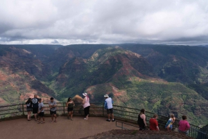 Van Oahu: Kauai Waimea Canyon & Wailua Rivier Tocht