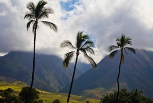 From Oahu: Maui Haleakala and Ia'o Valley Tour