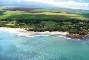 Depuis Oahu : Visite de Maui en hélicoptère et au sol