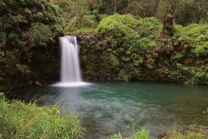 Oahulta: Maui Road to Hana Sightseeing Tour: Maui Road to Hana Sightseeing Tour