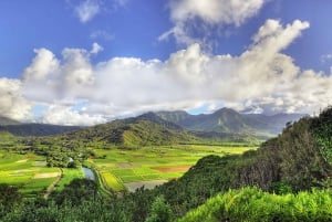 Kauai: Movie Locations Tour