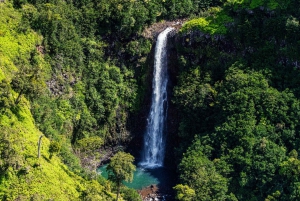 From Princeville: Discover Kauai Helicopter Tour