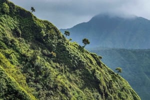 From Princeville: Discover Kauai Helicopter Tour