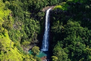 From Princeville: Discover Kauai Helicopter Tour