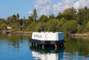 Från Waikiki: Andra världskrigets slagskepp i Pearl Harbor-tur