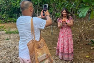 Waikikista: Oahun parhaat nähtävyydet: Best of Oahu Photo Tour with Pickup