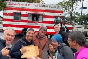 Waikikista: Oahun parhaat nähtävyydet: Best of Oahu Photo Tour with Pickup