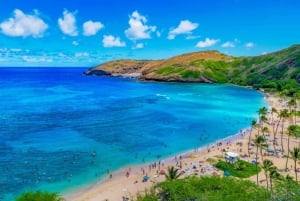 From Waikiki: Hawaii Grand Circle Island Tour
