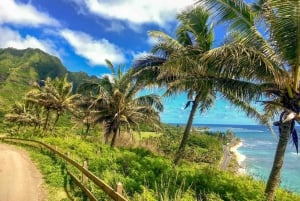 From Waikiki: Hawaii Grand Circle Island Tour