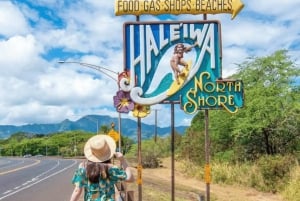 From Waikiki: Hawaii Grand Circle Island Tour
