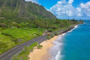 From Waikiki: Hawaii Grand Circle Island Tour
