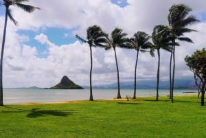 From Waikiki: Hawaii Grand Circle Island Tour