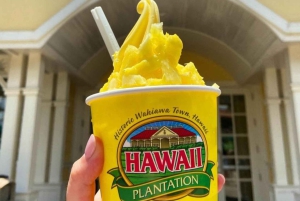 From Waikiki: Hawaii Grand Circle Island Tour