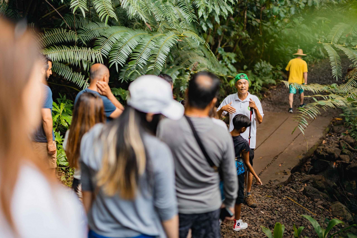 Oahu: Manoa Falls Waterfall Hike with Lunch and Transfers