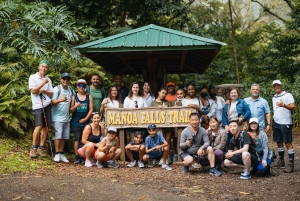 Oahu: Manoa Falls Waterfall Hike with Lunch and Transfers