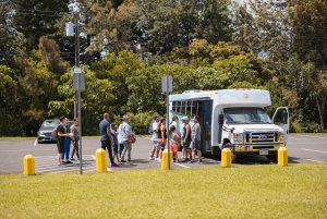 Oahu: Manoa Falls Waterfall Hike with Lunch and Transfers