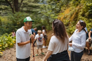 Oahu: Manoa Falls Waterfall Hike with Lunch and Transfers