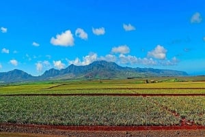 Depuis Waikiki : L'expérience de l'île du Grand Cercle d'Oahu