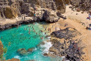 Von Waikiki aus: Oahu Grand Circle Island Experience