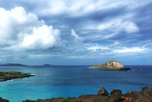 Fra Waikiki: Oahu Scenic Halvdagstur Circle Island Tour