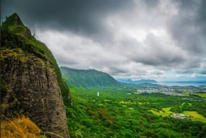 Fra Waikiki: Oahu Scenic Halvdagstur Circle Island Tour