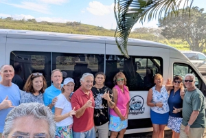 Fra Waikiki: Oahu Scenic Halvdagstur Circle Island Tour