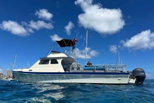 Depuis Waikiki : Excursion de plongée en apnée à Turtle Canyon