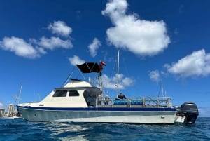 Fra Waikiki: Snorkletur i Turtle Canyon