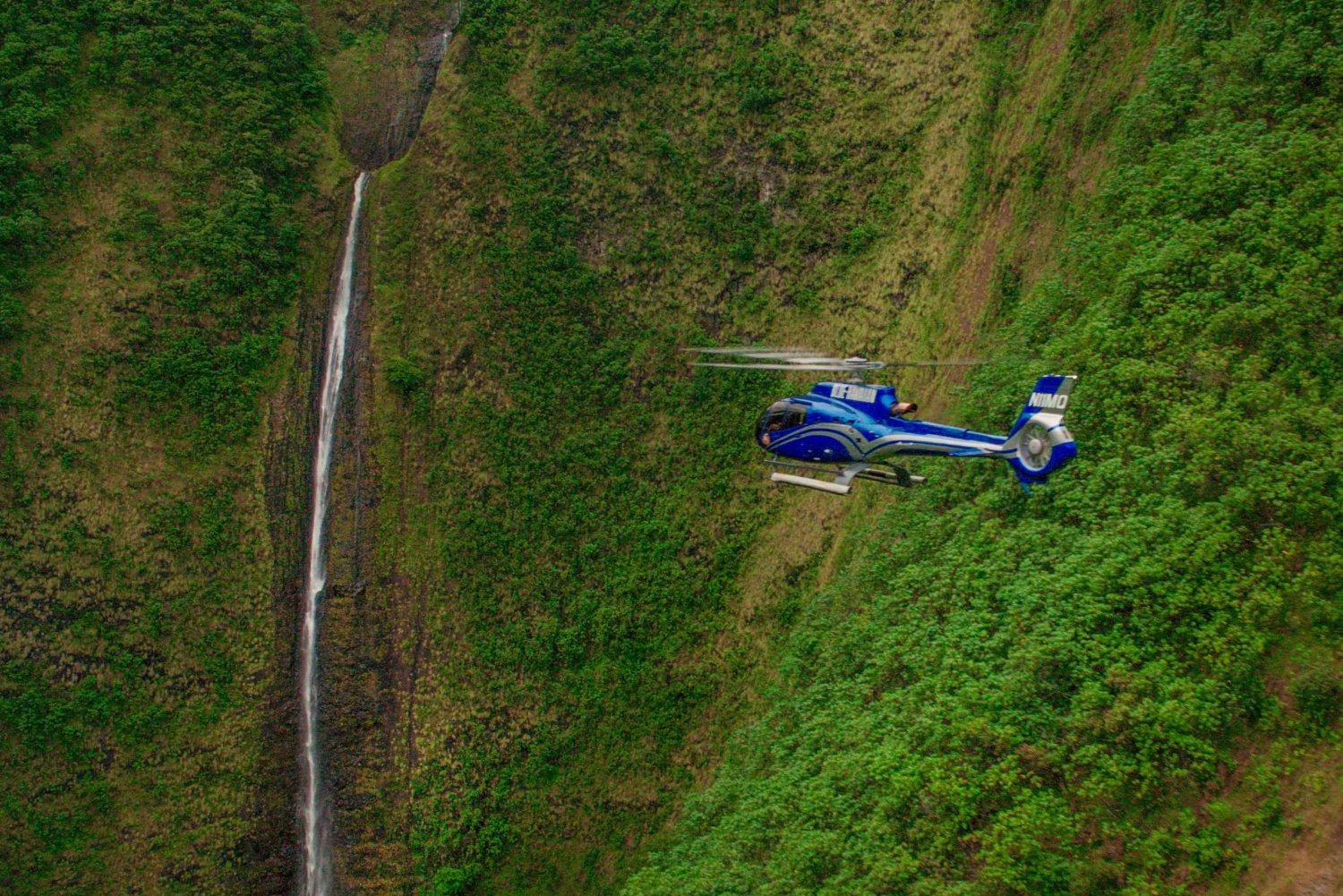 Fra Waikoloa: Helikopter-eventyr på Kohala-kysten