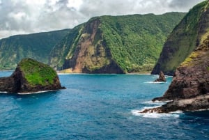 Desde Waikoloa Aventura en helicóptero por la costa de Kohala