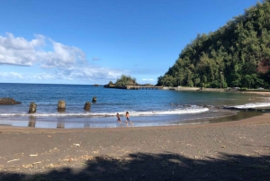 From West Maui: Luxury Road to Hana Tour