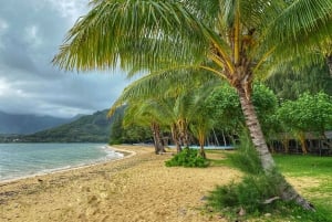 Heldagstur med sightseeing i det bästa av Oahu