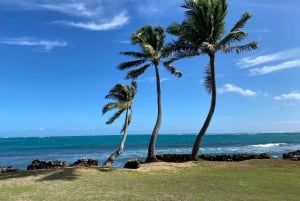 Excursion touristique d'une journée dans le meilleur de l'île d'Oahu