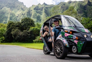 ✨ FUV Expedition: Din episke øyjakt! ✨