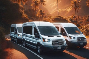 Group Transportation betwen Airport & Waikiki(up to 40 PPL)