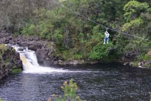 Hakalau: 9-Line Zipline Adventure with Umauma Falls View