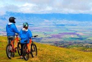 Haleakala guidad cykeltur med Bike Maui (dagtid)