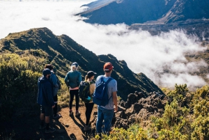 Haleakala National Park: Crater and Summit Hike