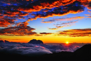 Maui: Haleakala Sunrise Eco Tour aamiaisella