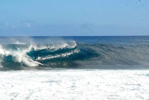 Haleiwa, Hawaii: Gruppesurfing med instruktør