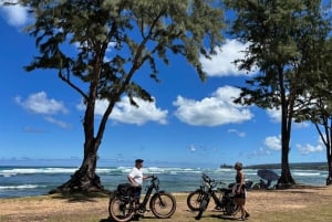 Haleiwa: tour guiado en bicicleta eléctrica por la costa norte con vistas al puerto